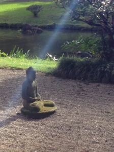buddha in the sunlight
