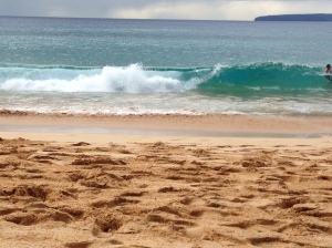 Quinn - sand tracks on the beach